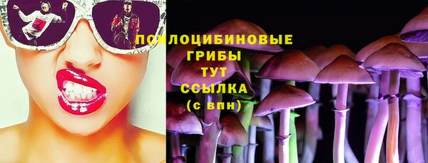 бошки Покровск